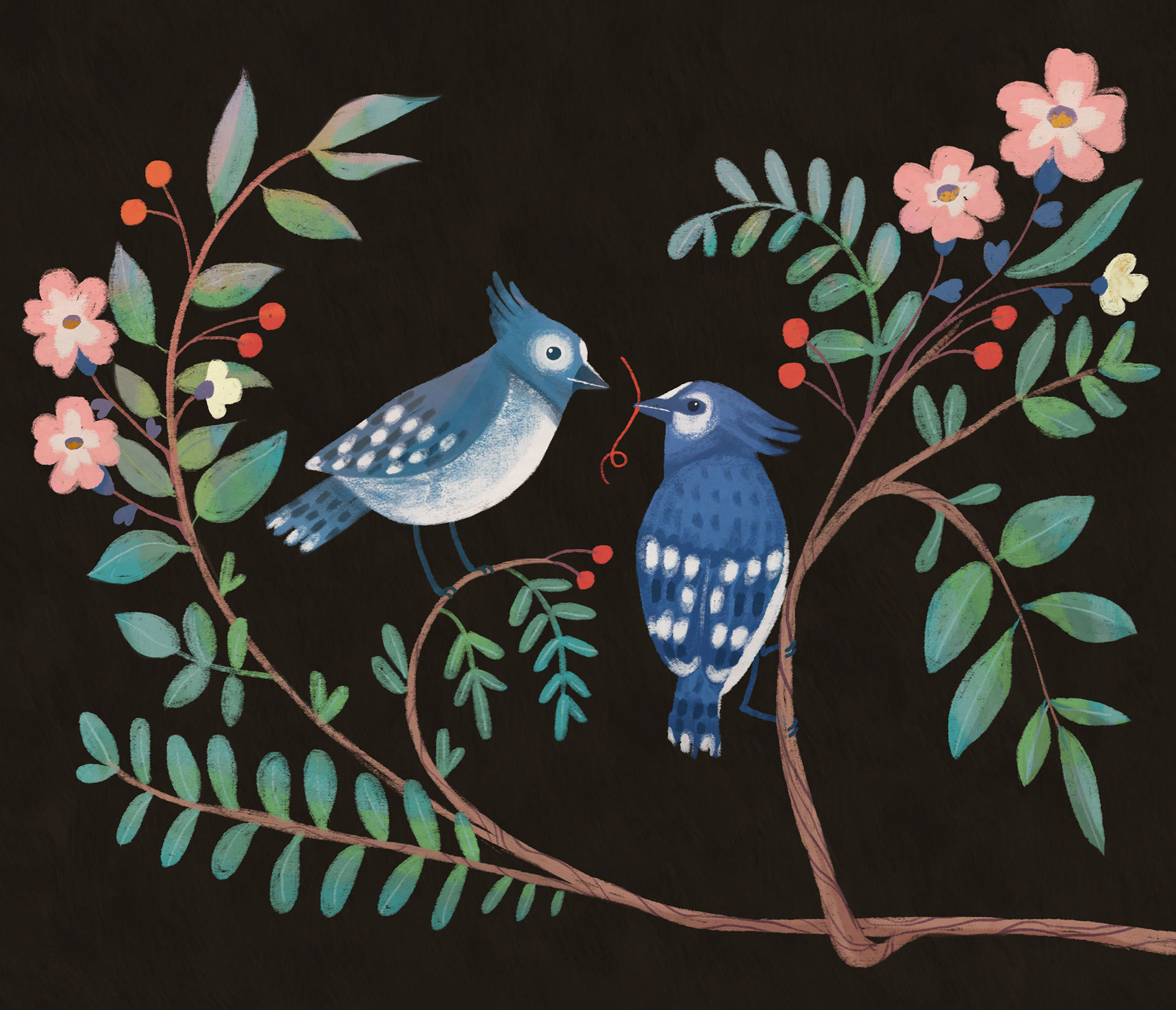 Illustration Work